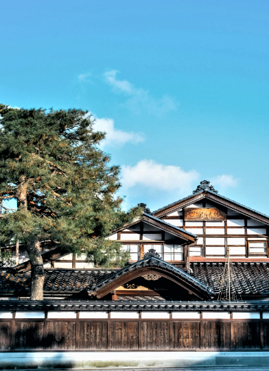 Japan Tech & Cultural Experience.